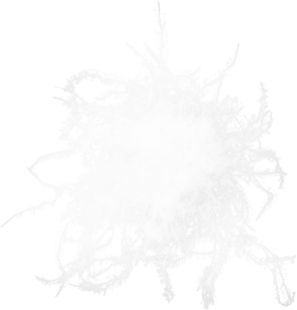 snowflake